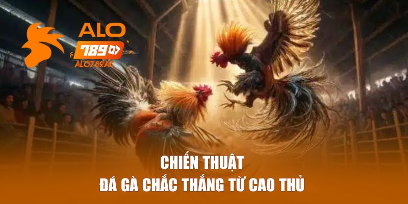 Chiến Thuật Đá Gà Từ Cao Thủ 