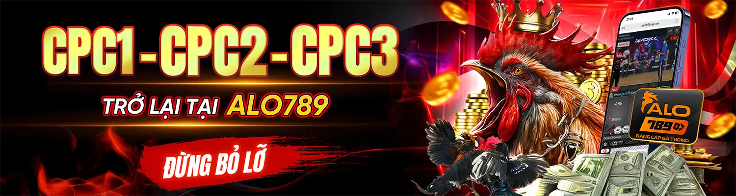 ALO789 SITU - Nhà Cái ALO789.COM Cá Cược Đá Gà Thomo T8/2026
