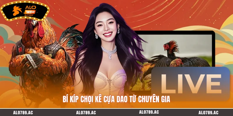 Bí kíp chọi kê cựa dao từ chuyên gia