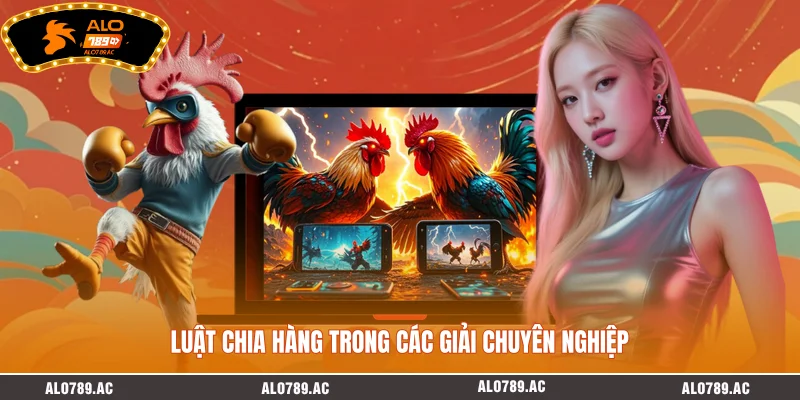 Luật chia hàng trong các giải chuyên nghiệp